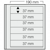 Specjalny arkusz DUAL (5 sztuk)